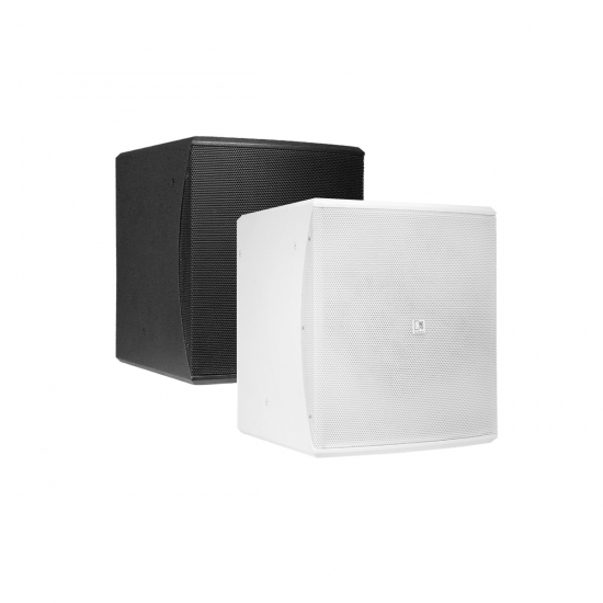 Subbas 10'' i gruppen Hembioutrustning hos Askås Testmiljö 1 (AUD-BASO10)