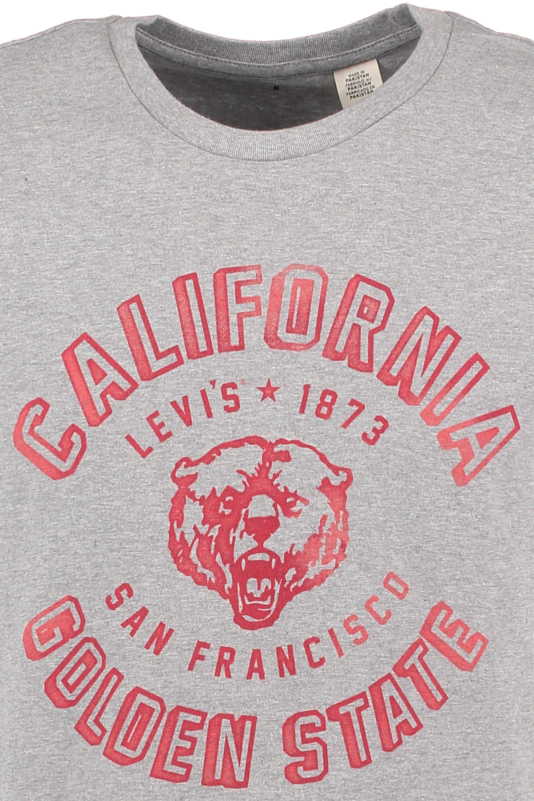 STEFFE GRAPH IC SETIN NECK 2